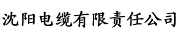 驰策电影电缆厂logo